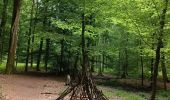 Percorso Marcia Notre-Dame-de-Bondeville - Randonnée en forêt Domaniale de Normandie - Photo 7