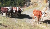 Trail Walking Laye - grande cuque 1018 - Photo 7