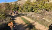 Trail Walking Mons - Le Lachens depuis Mons - Photo 5
