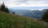 Trail Walking Thollon-les-Mémises - 15 juillet - Photo 3