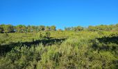 Tocht Stappen Le Castellet - Les Barres du plan de Castellet - Photo 10