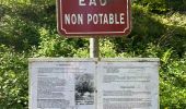 Trail Walking Vecoux - Chaudefontaine -grand lac- Chaudefontaine  - Photo 2