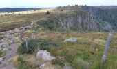 Trail Walking Le Valtin - Lac Vert - Lac du Forlet - Gazon du Faing - Photo 3