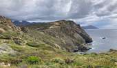Trail Walking Calvi - Revellata  - Photo 8