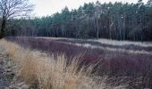 Tour Zu Fuß Lanaken - Pietersheim Blauwe ruit - Photo 10