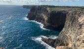 Percorso Sentiero Anse-Bertrand - Porte d’enfer le littoral  - Photo 7