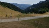 Trail Walking Lans-en-Vercors - les allieres, COL de l arc, et pic ST Michel - Photo 18