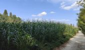 Randonnée Marche Fléac - Rando-ballade le long de la Charente au départ de Fléac  - Photo 20