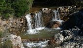 Trail Walking Fréjus - Col d'Auriasque - Lac de l'Avellan - Col Testanier - MF Malpey - Cantine Porfait - MF Cantonniers - Photo 2