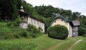 Excursión A pie Gemeinde Kleinzell - Laufend geniessen (Kurhotel Salzerbad) - Photo 3