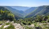 Trail Walking Prévenchères - Garde Guérin /Gorges du chassezac - Photo 8