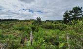 Tocht Stappen Saint-Merd-les-Oussines - RA2020 MIV Tour Tourbière Loigeroux - Photo 10