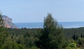 Tocht Stappen Cassis - Plan olive - Photo 1