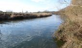 Excursión A pie Wychavon - Pershore Bridges Circular Walk - Photo 5