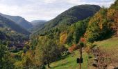 Trail Walking Courgoul - Courgoul_Pic_Cluzel_Tour - Photo 1