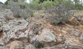 Excursión Senderismo Roquebrune-sur-Argens - Roquebrune - monastère de Notre Dame de pitié  - Photo 16