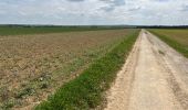 Percorso Marcia Ormoy-le-Davien - 040522 - Boucle Ormoy le Davien - Moulin de Wallu... - Photo 1