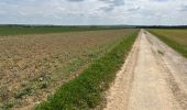 Tour Wandern Ormoy-le-Davien - 040522 - Boucle Ormoy le Davien - Moulin de Wallu... - Photo 1