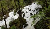 Trail Walking Consolation-Maisonnettes - Cirque de la Consolation - cascade du Lancot - Photo 20