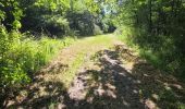 Percorso Marcia Fontaines-en-Sologne - Fontaines-en-Sologne - Les étangs - Photo 7