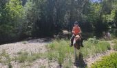 Trail Horseback riding Orthoux-Sérignac-Quilhan - mas bas - corconnes en boucle - Photo 3
