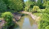 Excursión Senderismo Villers-le-Bouillet - Vieux-Waleffe . Dreye . Pitet . Fallais . Vieux-Waleffe - Photo 12