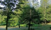 Excursión Senderismo Habay - La Boucle du Château du Pont d'Oye  - Photo 16