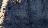 Trail Walking Plan-d'Aups-Sainte-Baume - plan d'aups ste baume - Photo 4