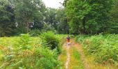 Trail Walking Viroinval - Balade à Regniessart - Viroinval - Photo 5