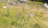 Randonnée Marche Beaurières - tour de Banne 1643m - Photo 3