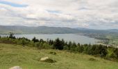 Percorso A piedi Sconosciuto - Rostrevor Forest - Slievemartin Trail - Photo 1