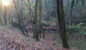 Tour Wandern Esneux - Mery, Abbaye de Brialmont, bois de Cortil - Photo 2