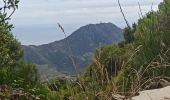 Excursión Senderismo Argelès-sur-Mer - massane - Photo 10