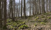 Trail On foot Eiterfeld - Rundweg 4, Stallberg - Photo 2