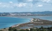 Trail Walking Hyères - Tour de la Presqu'île de Giens-05-04-23 - Photo 8