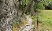 Tocht Stappen Saou - Petit Pomerolle par Lestang - Photo 15