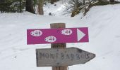 Tour Schneeschuhwandern Demi-Quartier - Combafort Combloux vers Mt d'Arbois - Photo 4