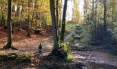 Trail Walking Liège - Colonster parc forêt université  - Photo 1
