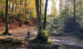 Randonnée Marche Liège - Colonster parc forêt université  - Photo 1