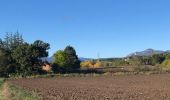 Tour Wandern Lazer - Le lac de Lazer par La Chapelle StJean - Photo 4