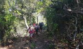 Trail Walking Serriera - Serierra  Ota - Photo 8