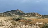 Trail Horseback riding Bardenas Reales de Navarra - Bardenas jour 5 - Photo 11