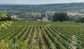 Trail Road bike Santenay - Boucle Santenay dans les vignes - Photo 3