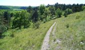 Tour Zu Fuß Viroinval - La Roche aux Faucons - Photo 2