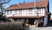 Tour Zu Fuß Weißenbrunn - Wildenberger Buchenweg (Kronach) - Photo 1