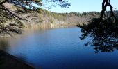 Randonnée Marche Besse-et-Saint-Anastaise - Lac Pavin -  Besse - Compains - Photo 1