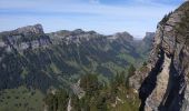 Excursión Senderismo Beatenberg - Niederhorn - Photo 4