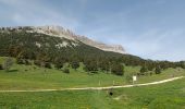 Excursión Senderismo Châtillon-en-Diois - Vallon de Combeau - Photo 20