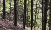 Tocht Stappen Stavelot - Stavelot et les crêtes de l’Amblève - Photo 4