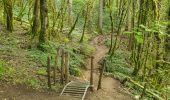 Trail Walking Saint-Claude - la cascade de la queue de  cheval  - Photo 12